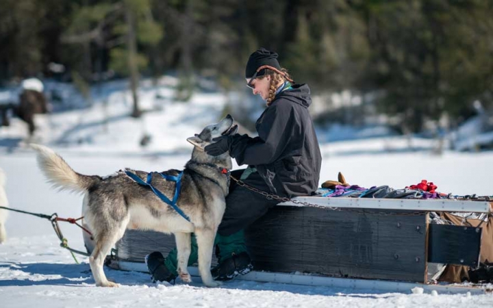 boundary waters dog sledding lessons